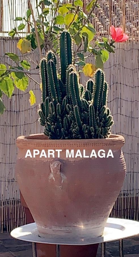 Appartement Plein Coeur Centre Historique De Màlaga Exteriér fotografie